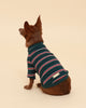 Green Striped Cotton Raglan