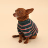 Green Striped Cotton Raglan