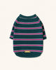 Green Striped Cotton Raglan