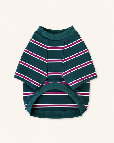 Green Striped Cotton Raglan