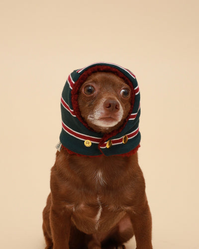 Green Striped Snood