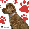 Fabric Dog Collar - Grey