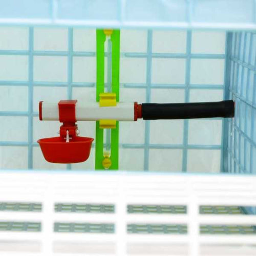 Grow Out Pen - 1 Section H:9.5