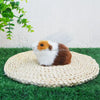 Realistic Faux Fur Hamster & Guinea Pig Figurine Lifelike Small Rodent Model for Desktop Decor,Gift,Educational&Photography Prop