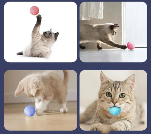 Polyester Rope Cat Toy - Colorful Pom Pom Balls for Teeth Cleaning