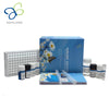 Guinea Pig Interleukin 23 (IL-23) ELISA Kit for Science Research