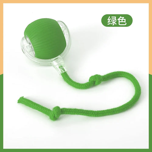 SR Interactive Rolling Smart Cat Ball Toy with Tail Accessory