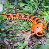 Funny Electronic Pet Remote Control Simulation Giant IR RC Scolopendra Centipede April Fools' Day Tricky Prank Insect Toy Gift