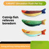 Hapibuyhpb Plush Fish Cat Toy - Bite Resistant Teasing Stick
