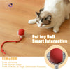 SR Interactive Rolling Smart Cat Ball Toy with Tail Accessory