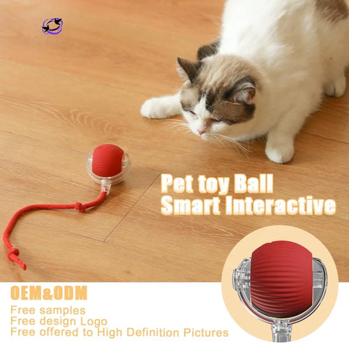SR Interactive Rolling Smart Cat Ball Toy with Tail Accessory