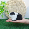 Realistic Faux Fur Hamster & Guinea Pig Figurine Lifelike Small Rodent Model for Desktop Decor,Gift,Educational&Photography Prop