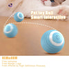 SR Interactive Rolling Smart Cat Ball Toy with Tail Accessory