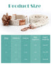 Beauty Floral Lace Dog Collar & Leash Set