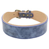The Wide Luxe Collar - Padded Leather for Large Dogs