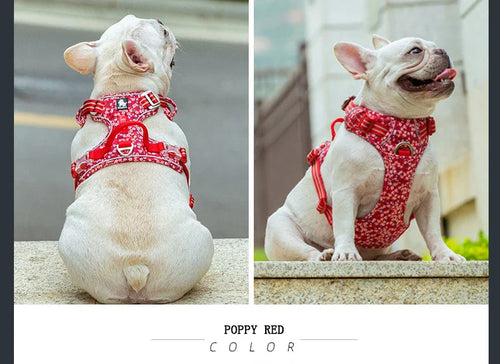 Truelove Floral No Pull Dog Harness - Reflective Cotton Vest