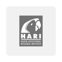 hagen