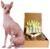 4-HAIRLESS PETS *DOG REGULAR KIT