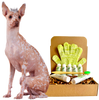 4-HAIRLESS PETS *DOG REGULAR KIT