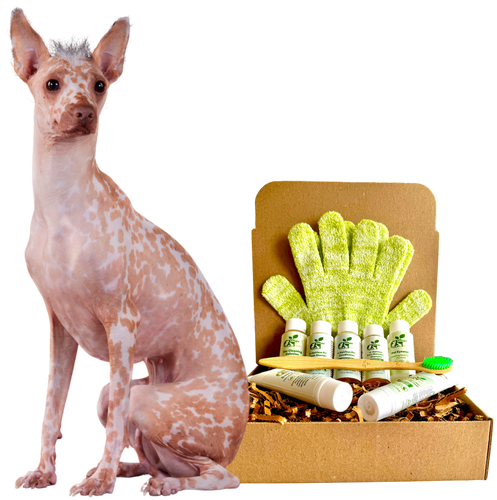 4-HAIRLESS PETS *DOG REGULAR KIT