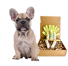 4-FURRY DOGS *REGULAR GROOMING KIT