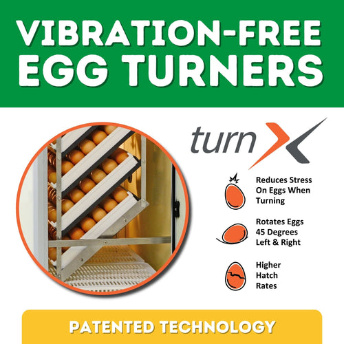 HB175 C - Combined Egg Incubator and Hatcher