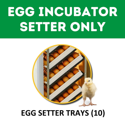 HB350 S - Automatic Setter Egg Incubator