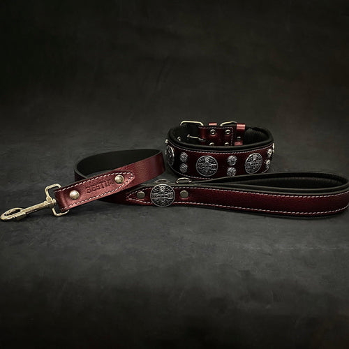 The Hektor Burgundy Collar LIMITED