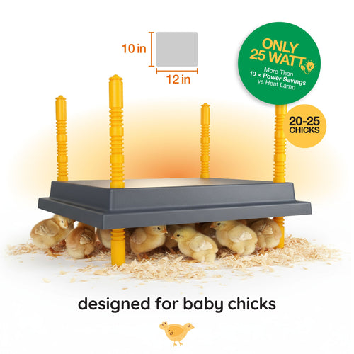 Warmzy Heating Plate (10 x 12) 20-25 chicks