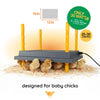 Warmzy Heating Plate (12 x 16) 25 - 30 chicks