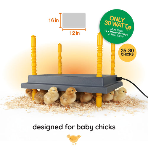 Warmzy Heating Plate (12 x 16) 25 - 30 chicks