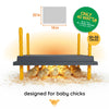 Warmzy Heating Plate (16 x 22) 50-55 chicks
