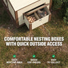 Flock Right Chicken Coop - House Only