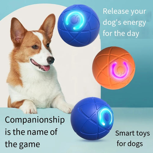 SR Interactive Rolling Smart Cat Ball Toy with Tail Accessory