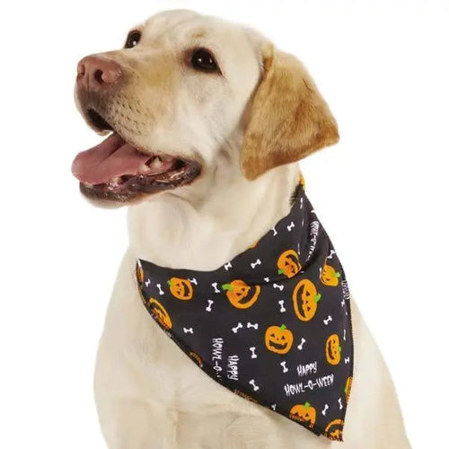 Aria Halloween Dog Bandana 19 Pumpkin & Bone Design Howl-O-Ween Pet Accessory