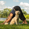 Adjustable Hands-Free Tether Leash 3/4''