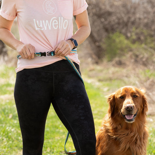 Adjustable Hands-Free Tether Leash 3/4''