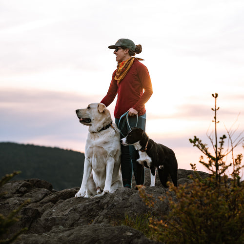 Adjustable Hands-Free Tether Leash 1''