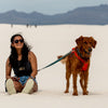 Adjustable Hands-Free Tether Leash 1''