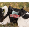 Custom K9 Mini Patch