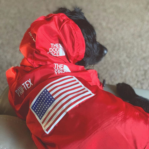 The Dog Face Windproof Waterproof Reflective Pet Cat Dog Jacket