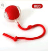 SR Interactive Rolling Smart Cat Ball Toy with Tail Accessory
