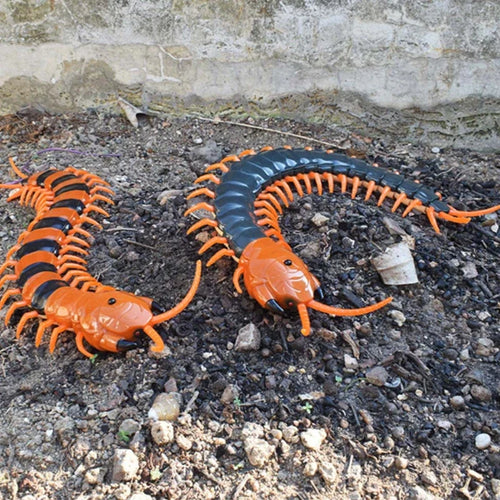 Funny Electronic Pet Remote Control Simulation Giant IR RC Scolopendra Centipede April Fools' Day Tricky Prank Insect Toy Gift
