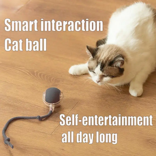 Automatic Rolling Cat Toy - Smart Interactive Pet Toy