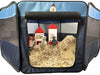 My Pet Chicken Hen Pen Pop-Up Brooder