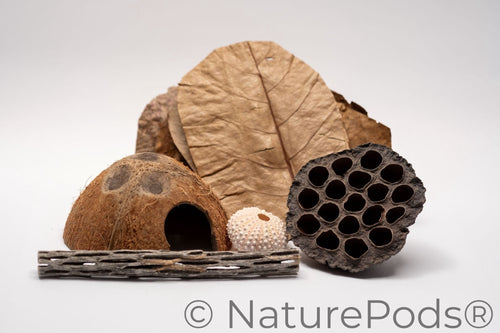 Hermit Crab Botanical Enrichment Pack