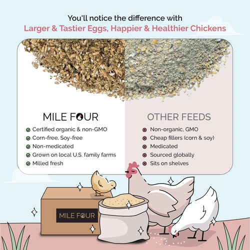 Big Flock Bundle | 2 Months of Organic Feed, Grit & Oyster Shell for 20 Layer Hens
