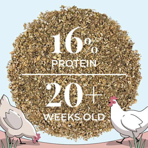 Layer Organic Chicken Feed