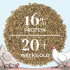 Big Flock Bundle | 2 Months of Organic Feed, Grit & Oyster Shell for 20 Layer Hens
