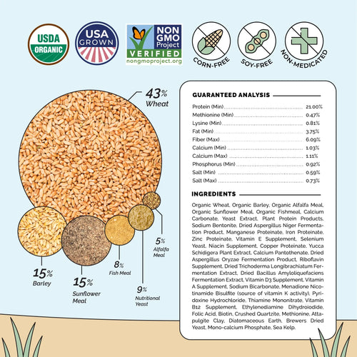 Starter Organic Chicken Feed
